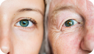 VisiFlora Review 2026: Does This Gut-Eye Vision Supplement Really Work?