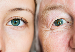 VisiFlora Review 2026: Does This Gut-Eye Vision Supplement Really Work?